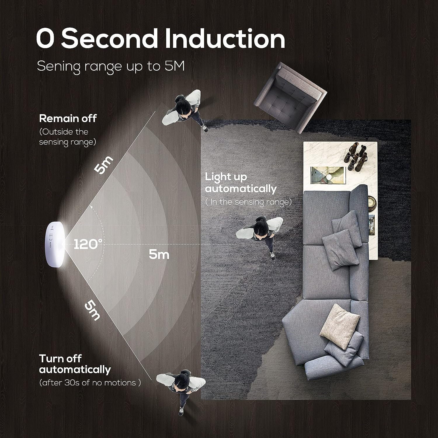 Motion Sensor Light